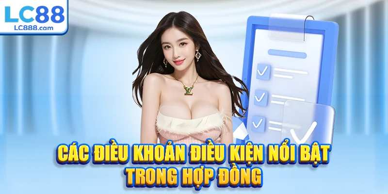 Các điều khoản điều kiện nổi bật trong hợp đồng