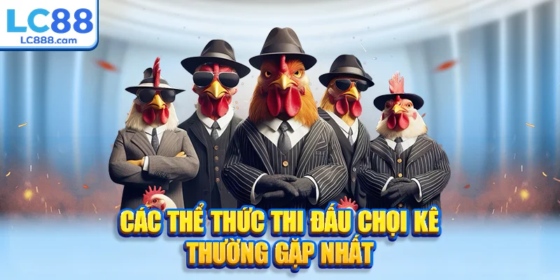 Các thể thức thi đấu chọi kê thường gặp nhất