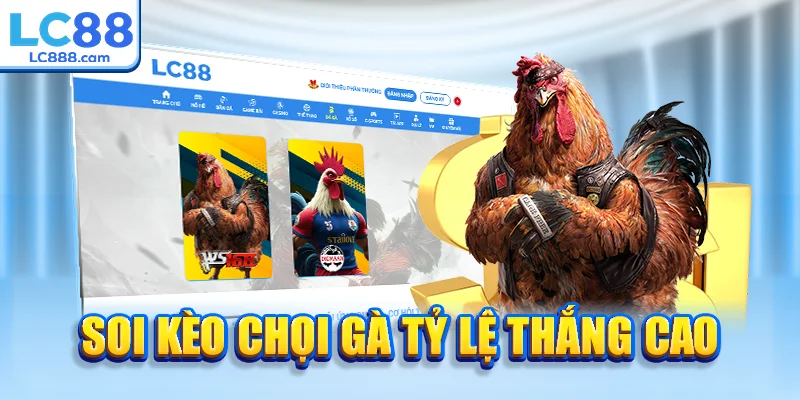 Soi kèo chọi gà tỷ lệ thắng cao