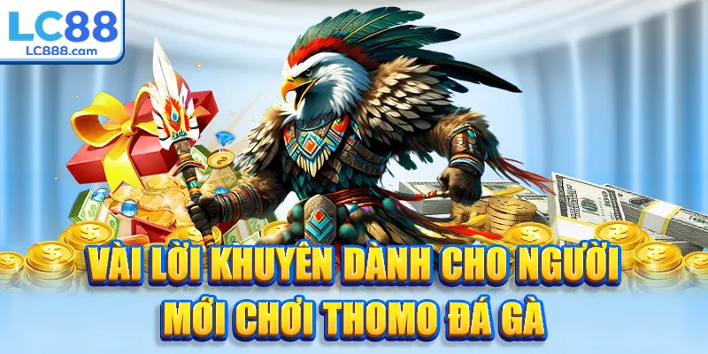 Vài lời khuyên dành cho người mới chơi thomo đá gà